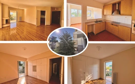 Collage of an empty apartment: living room with hardwood floors, kitchen area, bedroom with built-in wardrobe, and balcony; central exterior shot of a tree outside.